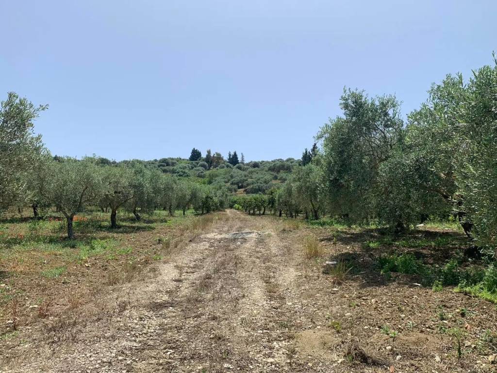 Terreno a Misilmeri in Contrada Feotto No Number - Foto 2