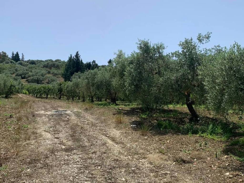 Terreno a Misilmeri in Contrada Feotto No Number - Foto 5