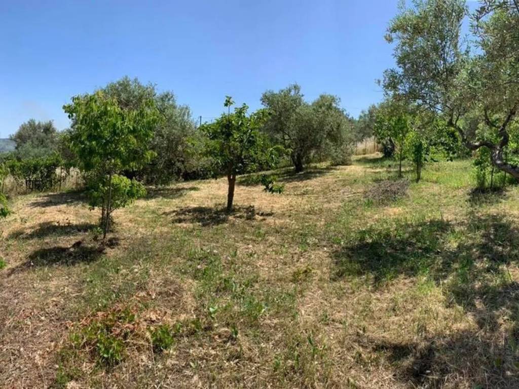 Terreno a Misilmeri - Foto 2