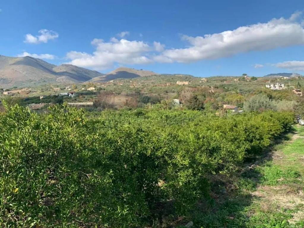 Terreno a Misilmeri - Foto 2