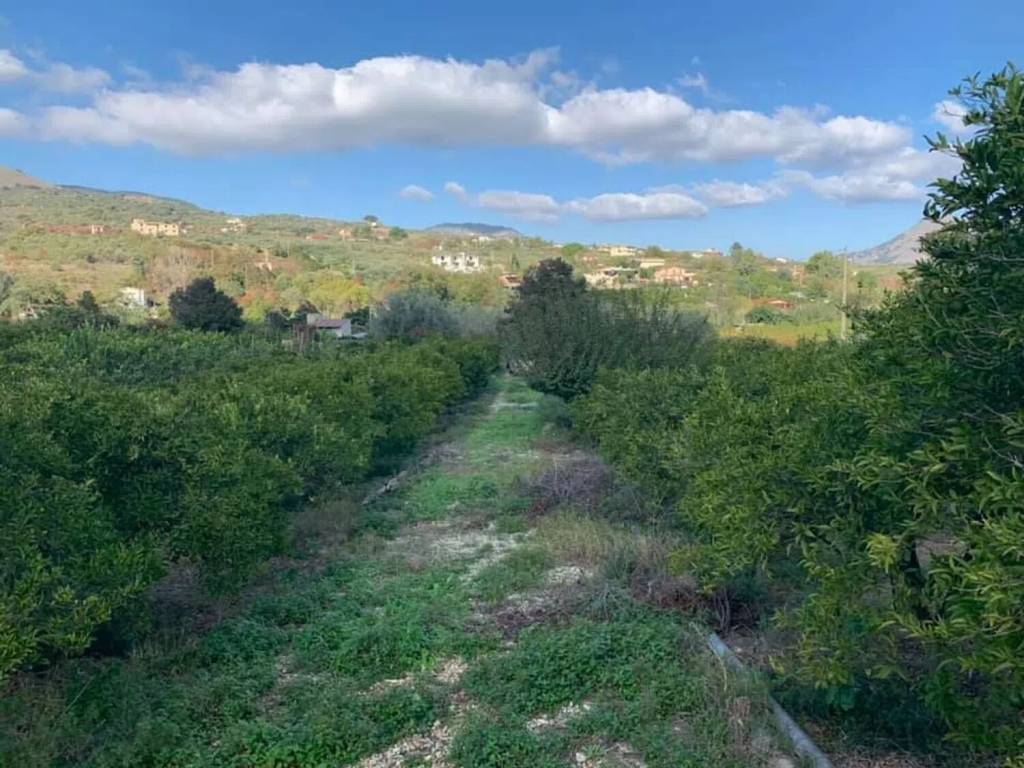 Terreno a Misilmeri - Foto 3