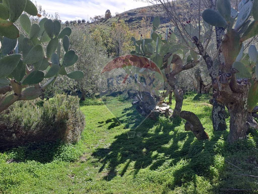 Villa a Castellana sicula in via trieste - Foto 3