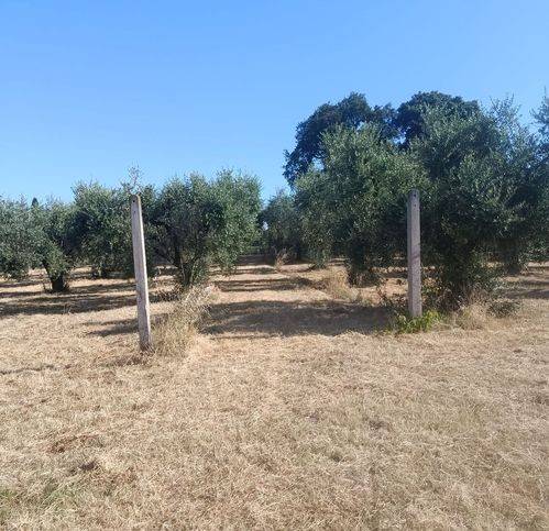 Terreno a Cori in Via Paiolana - Foto 4