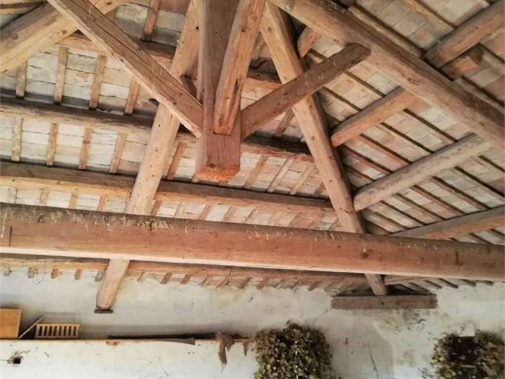 Appartamento a Badia polesine - Foto 4