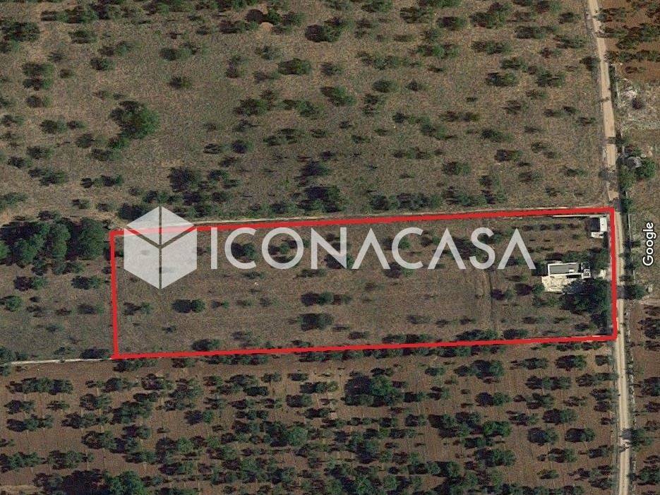 Terreno a Grumo appula in Strada Comunale della Macchia del Bosco - Foto 2