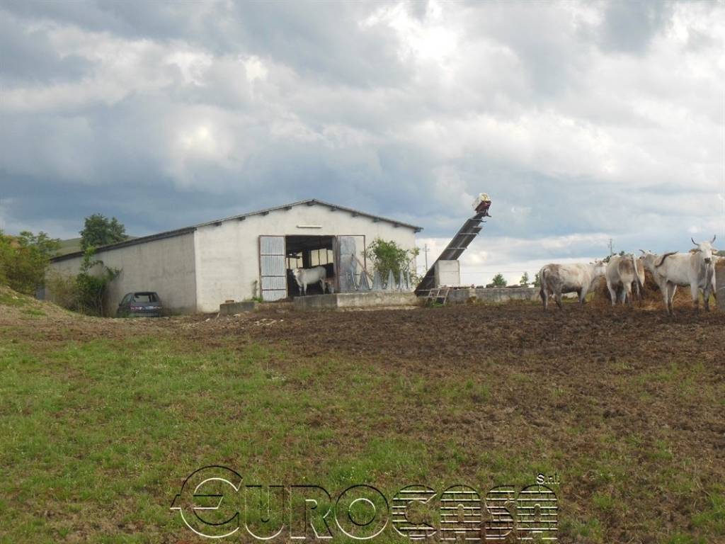 Terreno a Gubbio in MOCAIANA - Foto 5