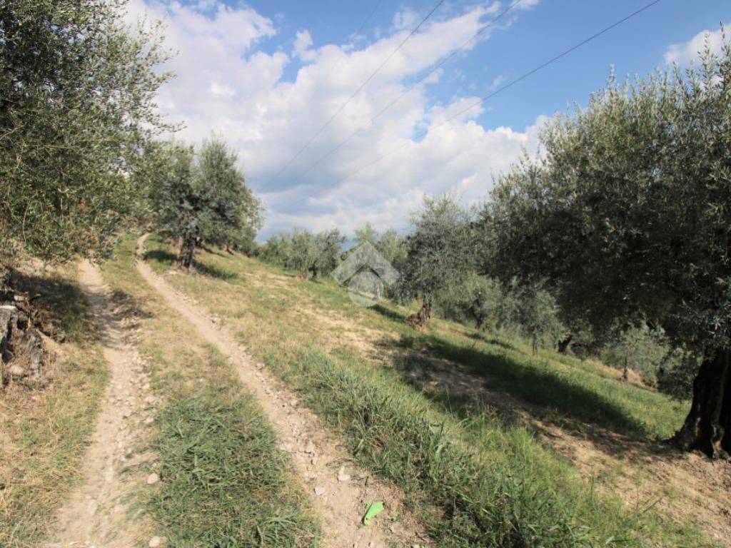 Terreno a Salisano in Via rocca - Foto 3