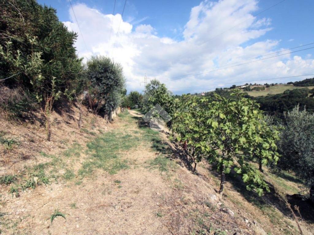 Terreno a Salisano in Via rocca - Foto 4