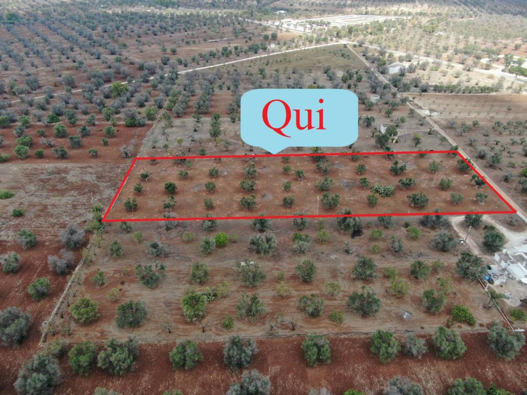 Terreno a San vito dei normanni in Contrada Zambardo - Foto 2