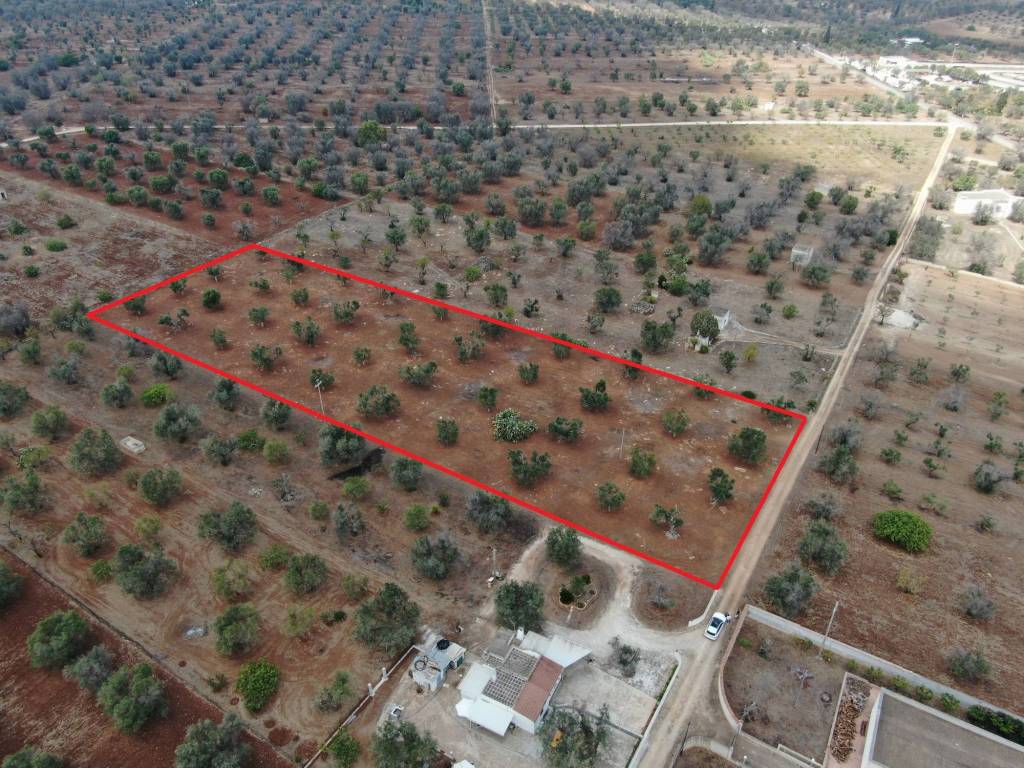 Terreno a San vito dei normanni in Contrada Zambardo - Foto 3