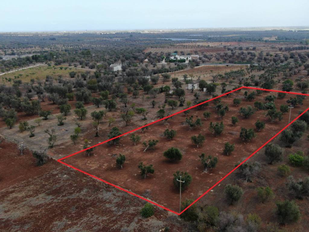 Terreno a San vito dei normanni in Contrada Zambardo - Foto 5