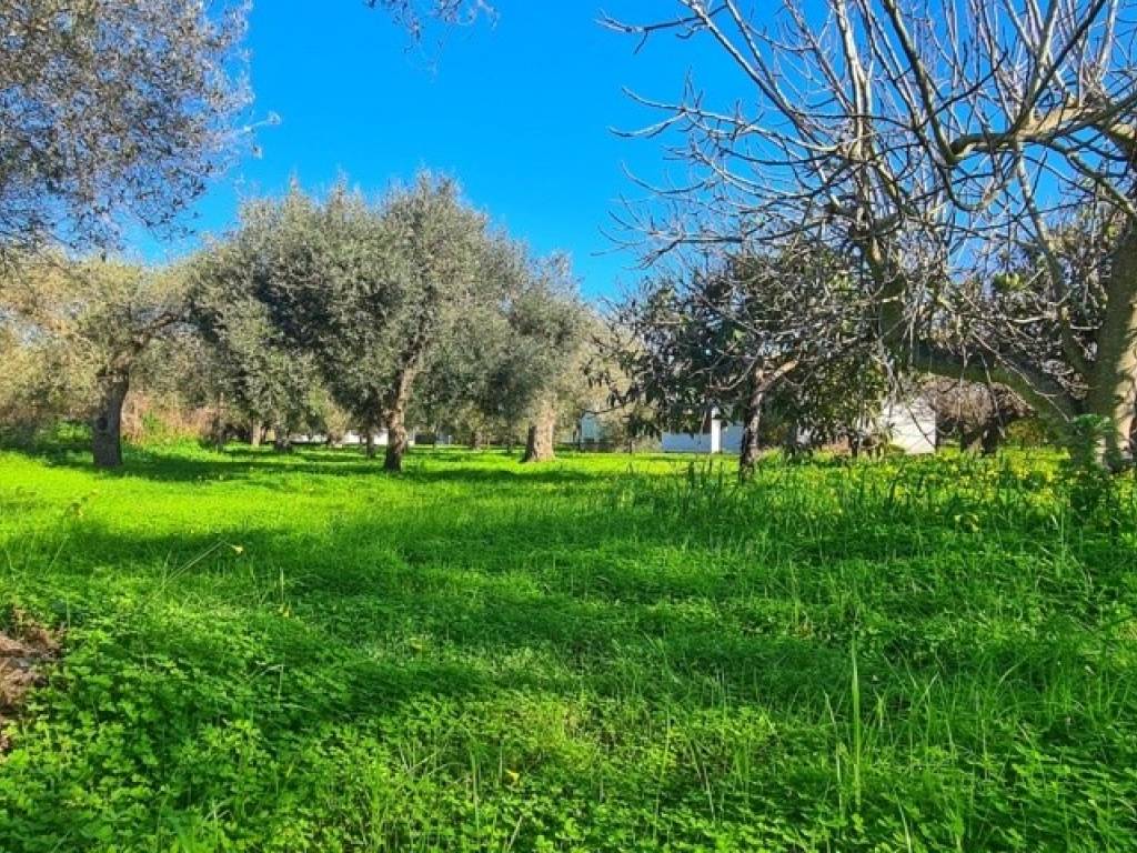 Villa a Sorso in Strada Statale dell'Anglona - Foto 3