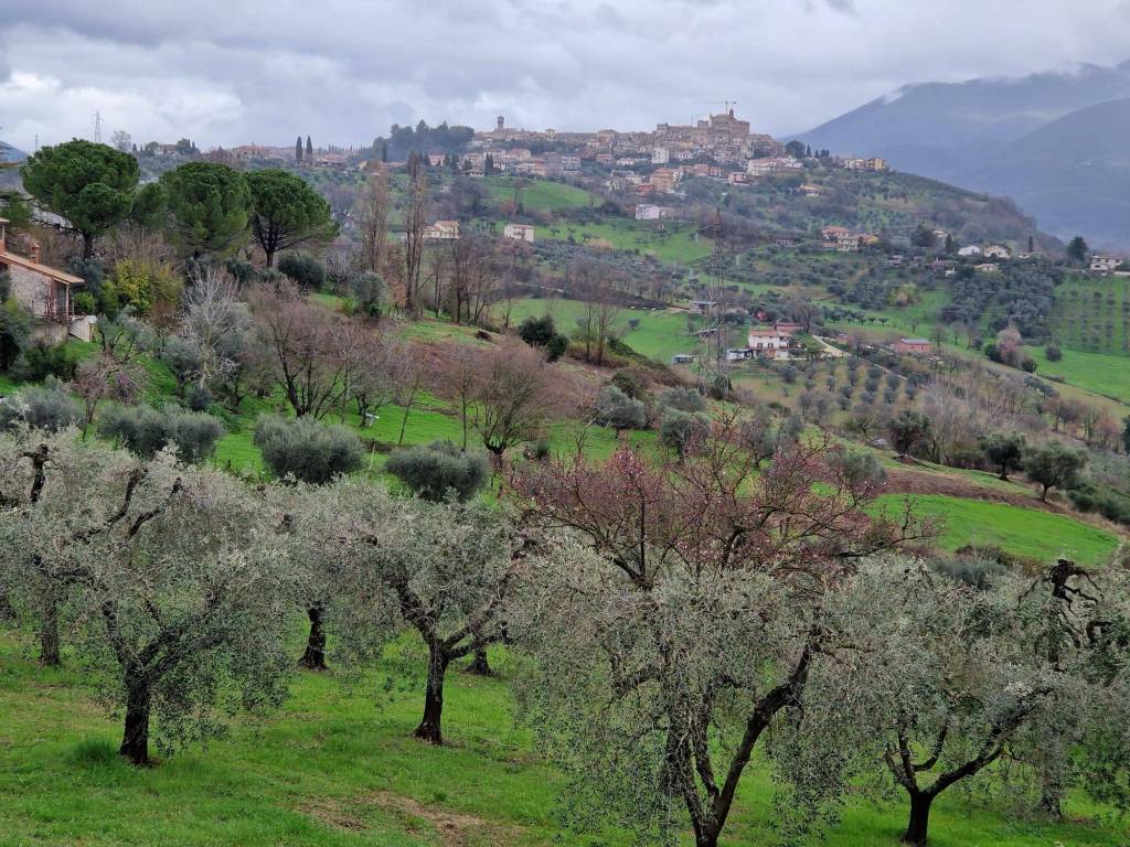Villa a Cantalupo in sabina in via sant'andrea - Foto 4