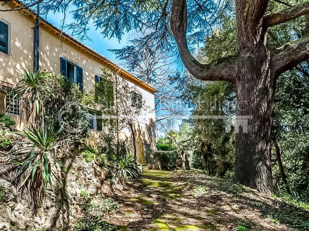 Villa a Crespina e lorenzana in Via La Capannina - Foto 5