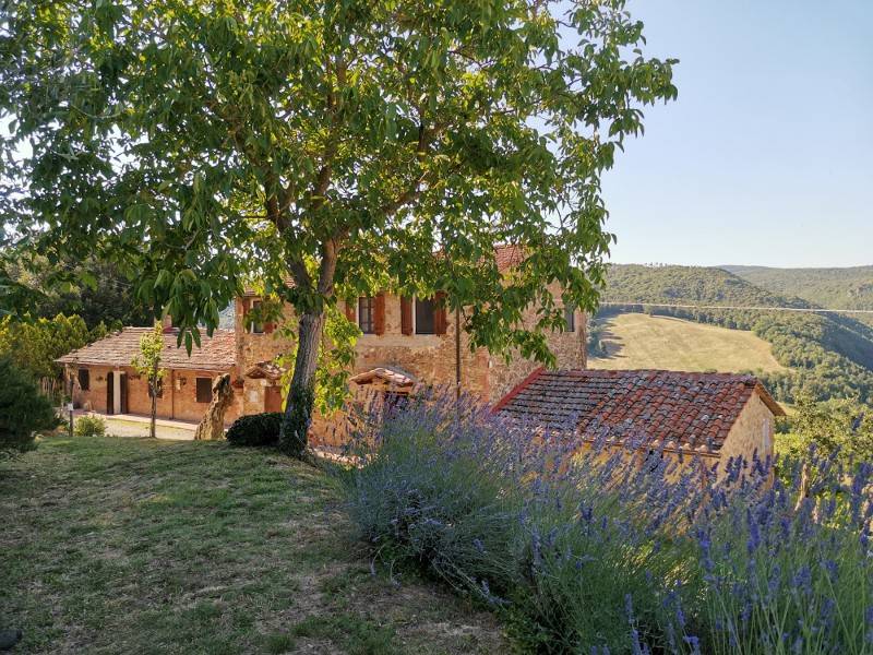 Rustico / casale a San gimignano in Località Ranza - Foto 3