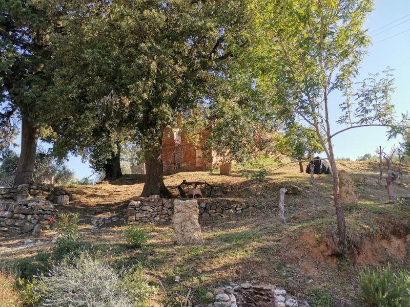 Rustico / casale a San gimignano in Località Ranza - Foto 5