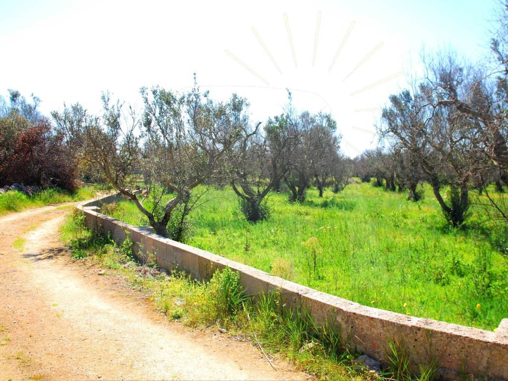 Terreno a Patù in Strada Comunale Monti San Giovanni - Foto 4
