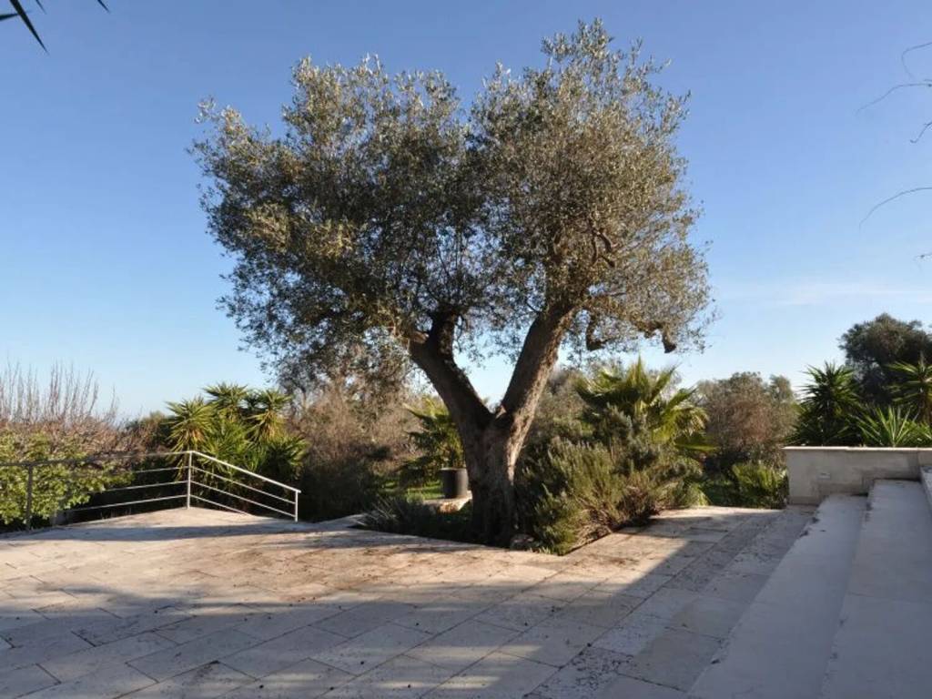 Villa a Ostuni in Contrada Santa Caterina S.N.C. - Foto 5