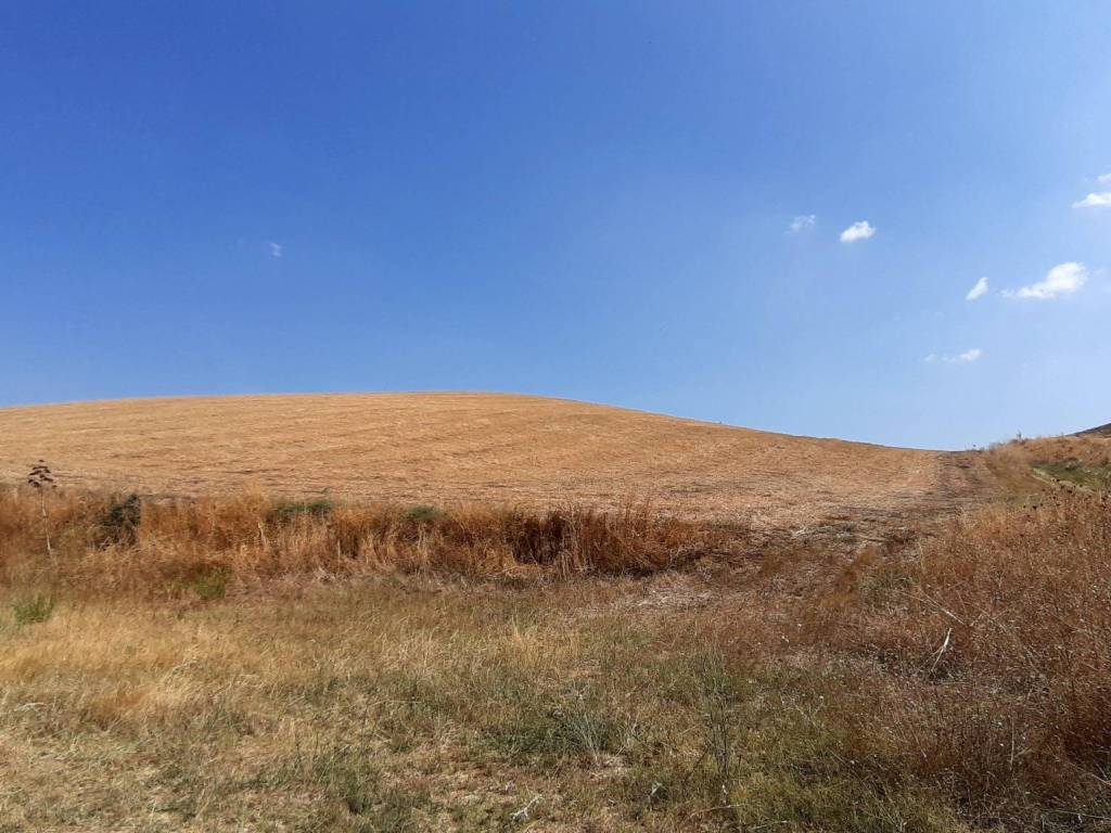 Rustico / casale a Tarquinia in Strada Vicinale del Melledra Farnesiana - Foto 3