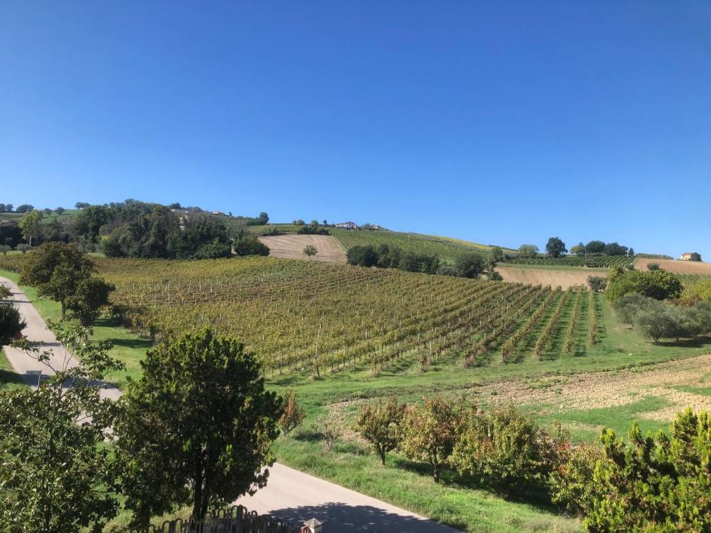 Rustico / casale a Montalto delle marche in Strada Provinciale della Val d'Aso, 2 - Foto 2
