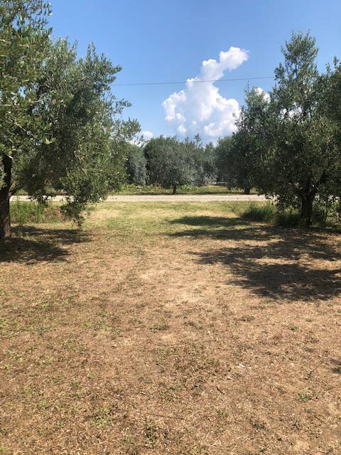 Terreno a Piombino - Foto 4