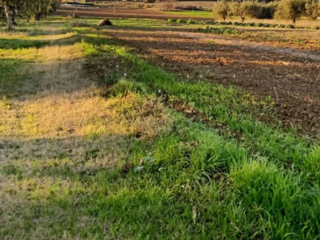 Terreno a Rosciano in Area Residenziale Indirizzo Non Visibile Rosciano - Foto 3