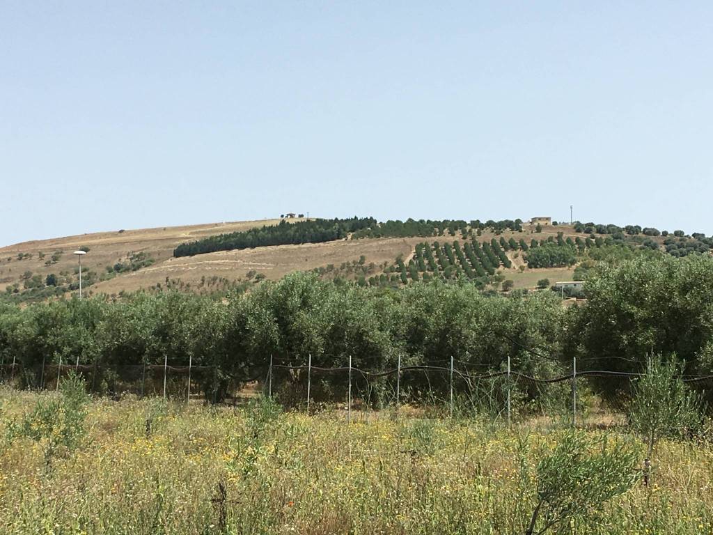 Terreno a Suelli - Foto 4