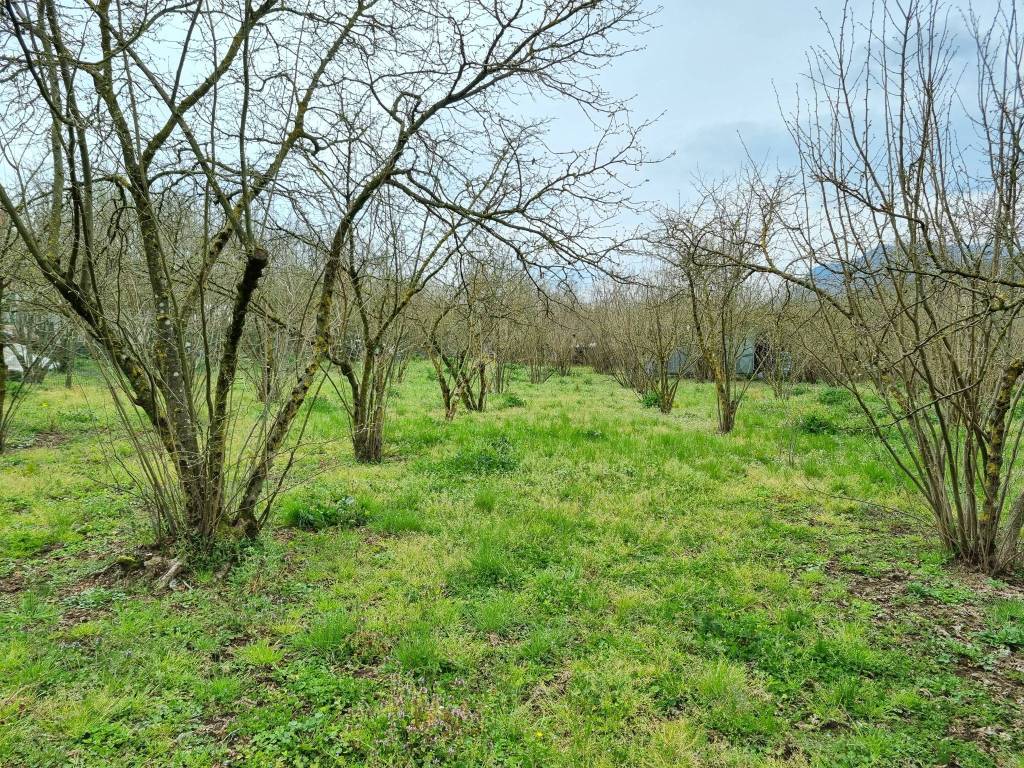 Terreno a Aiello del sabato in SP64, 13 - Foto 5