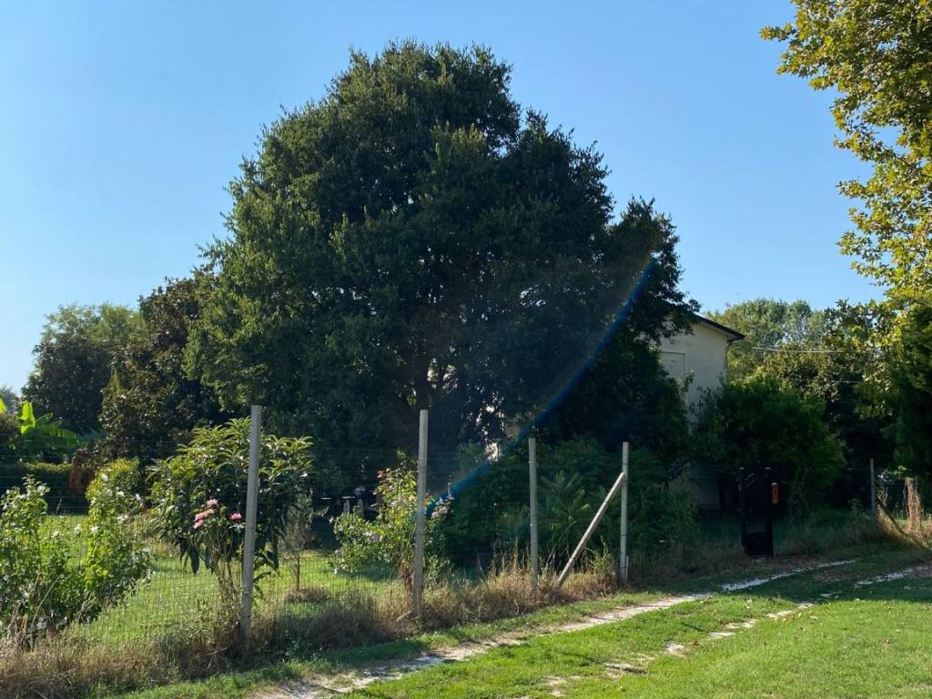 Casa indipendente a Stienta in Via Argine Po - Foto 3