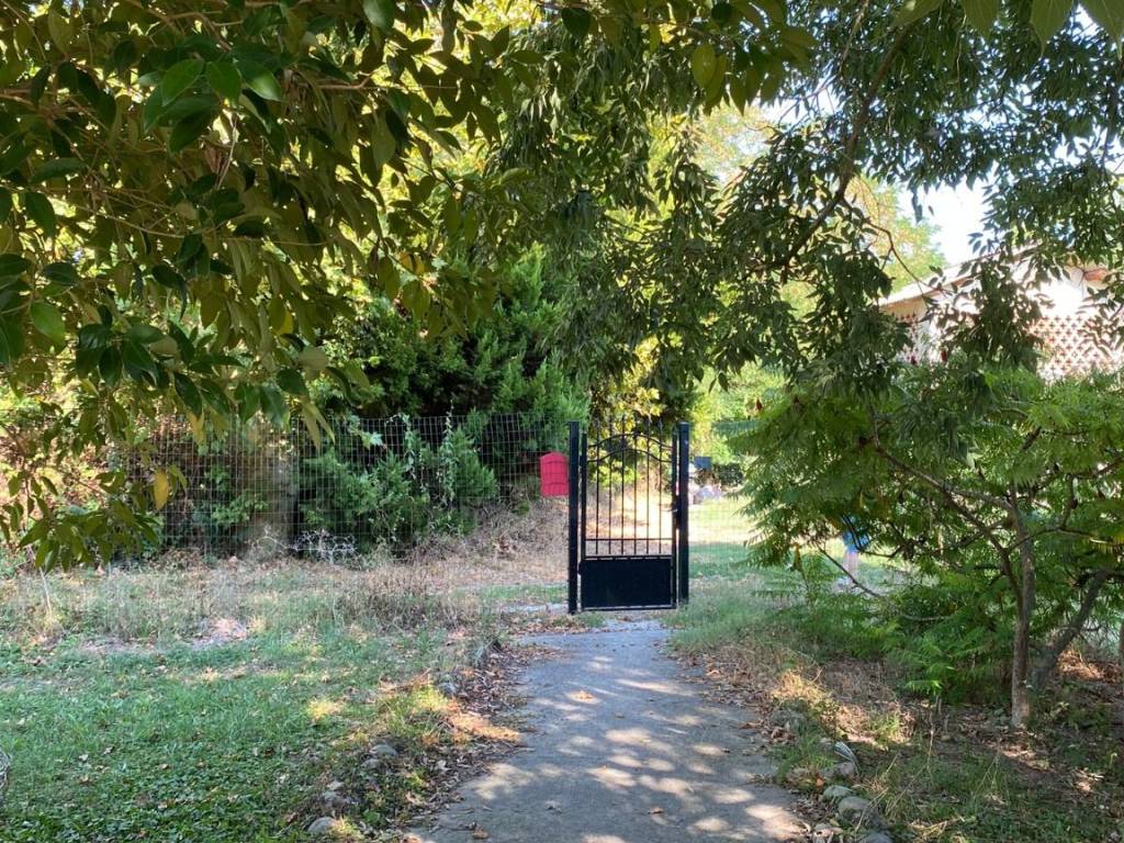 Casa indipendente a Stienta in Via Argine Po - Foto 4