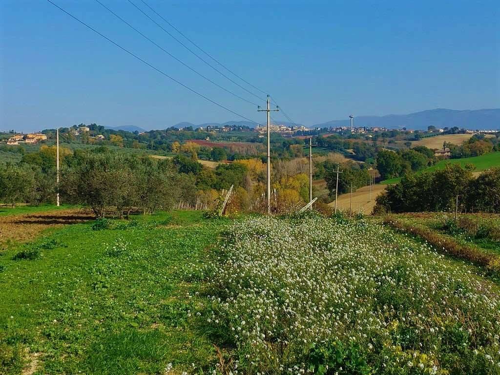 Terreno a Montefalco - Foto 3