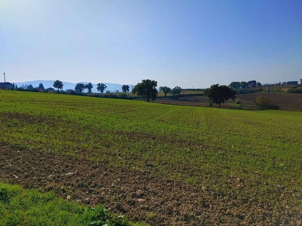 Terreno a Montefalco - Foto 5