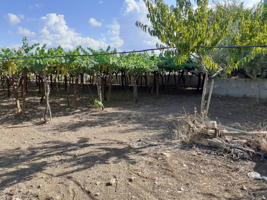 Terreno a Trani in Via Andria - Foto 3