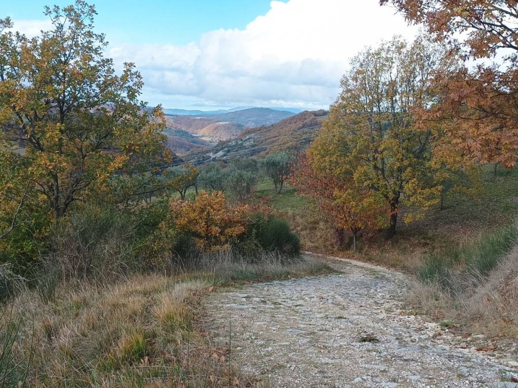 Casa indipendente a Assisi in Frazione Porziano - Foto 2