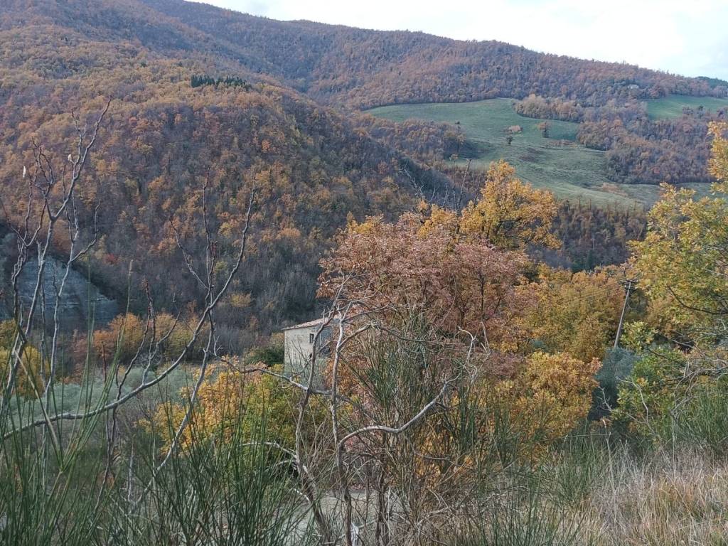 Casa indipendente a Assisi in Frazione Porziano - Foto 4