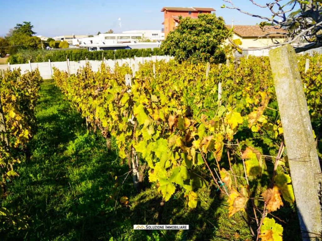 Terreno a Albano laziale in Via dei Tulipani, 24 - Foto 5