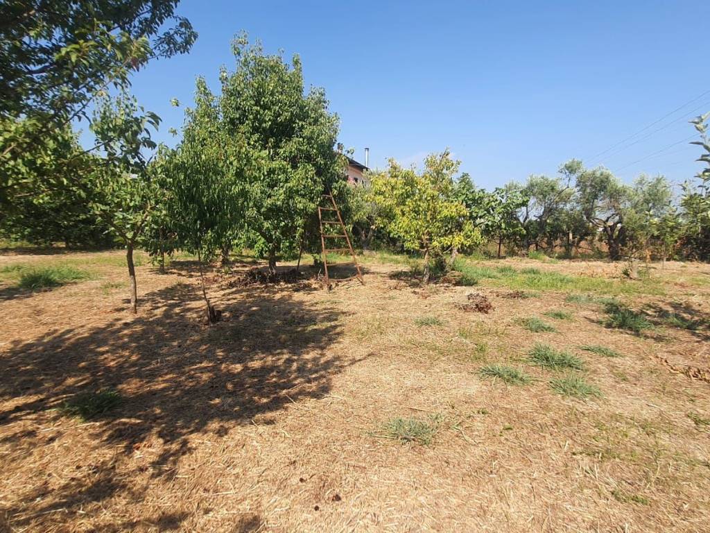 Terreno a Eboli - Foto 2