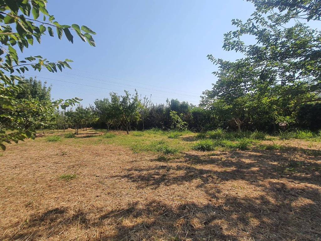 Terreno a Eboli - Foto 3