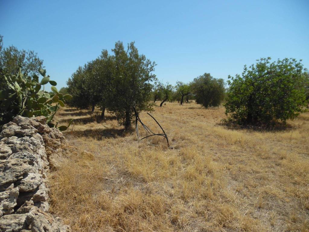 Terreno a Floridia - Foto 2