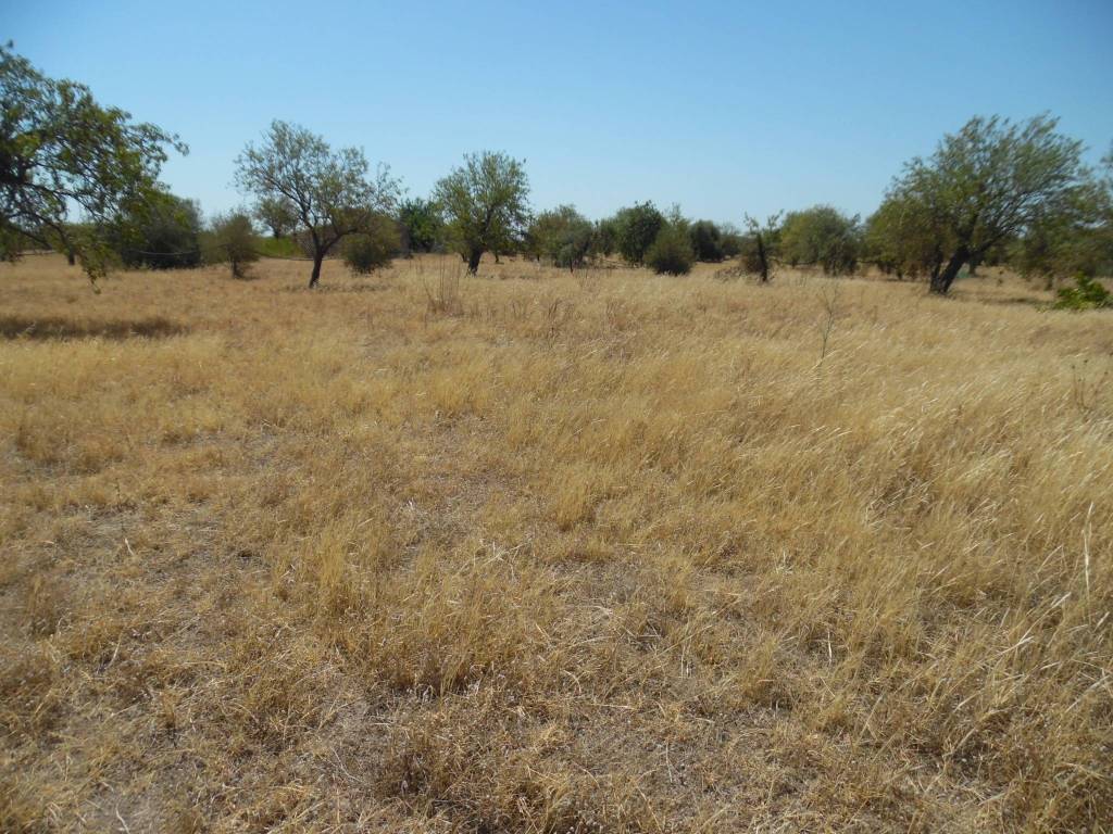 Terreno a Floridia - Foto 4
