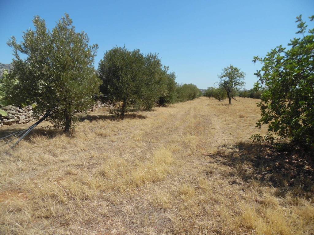 Terreno a Floridia - Foto 5