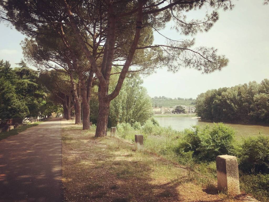 Appartamento a Verona in Via Antonio Milani, 0 - Foto 3