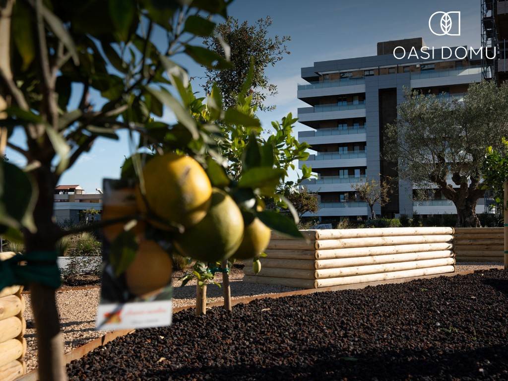 Appartamento a Cagliari in Via Montecassino - Foto 5