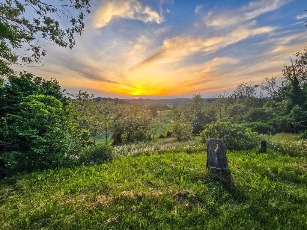 Rustico / casale a Montiglio monferrato - Foto 2