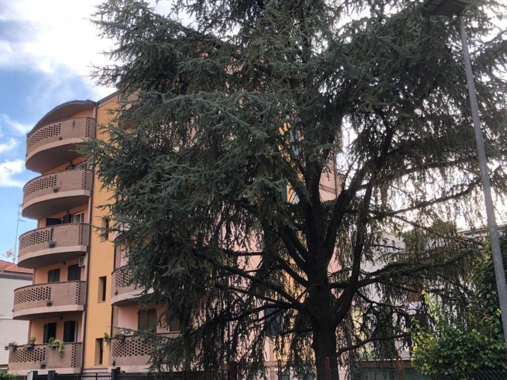 Appartamento a Parma in Via Scoglio di Quarto, 3 - Foto 2