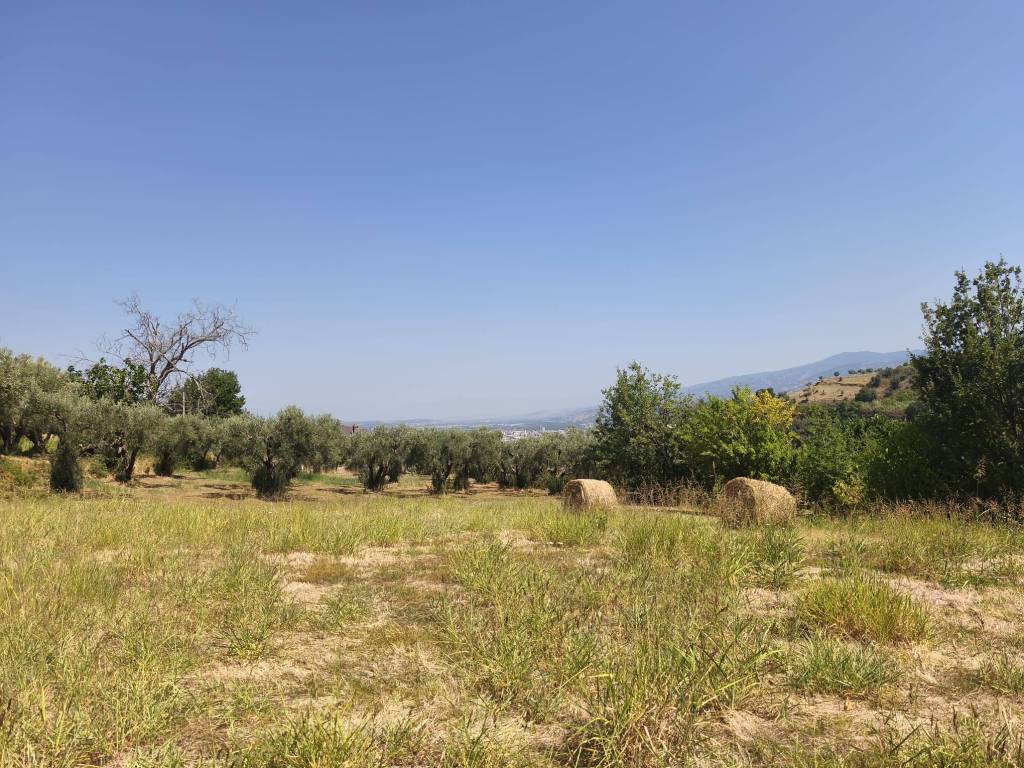 Terreno a Cosenza in Contrada Tenimento - Foto 2