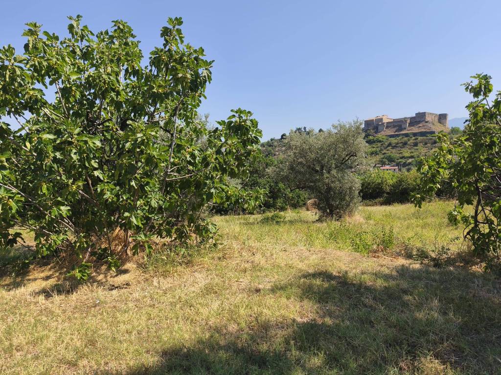 Terreno a Cosenza in Contrada Tenimento - Foto 3