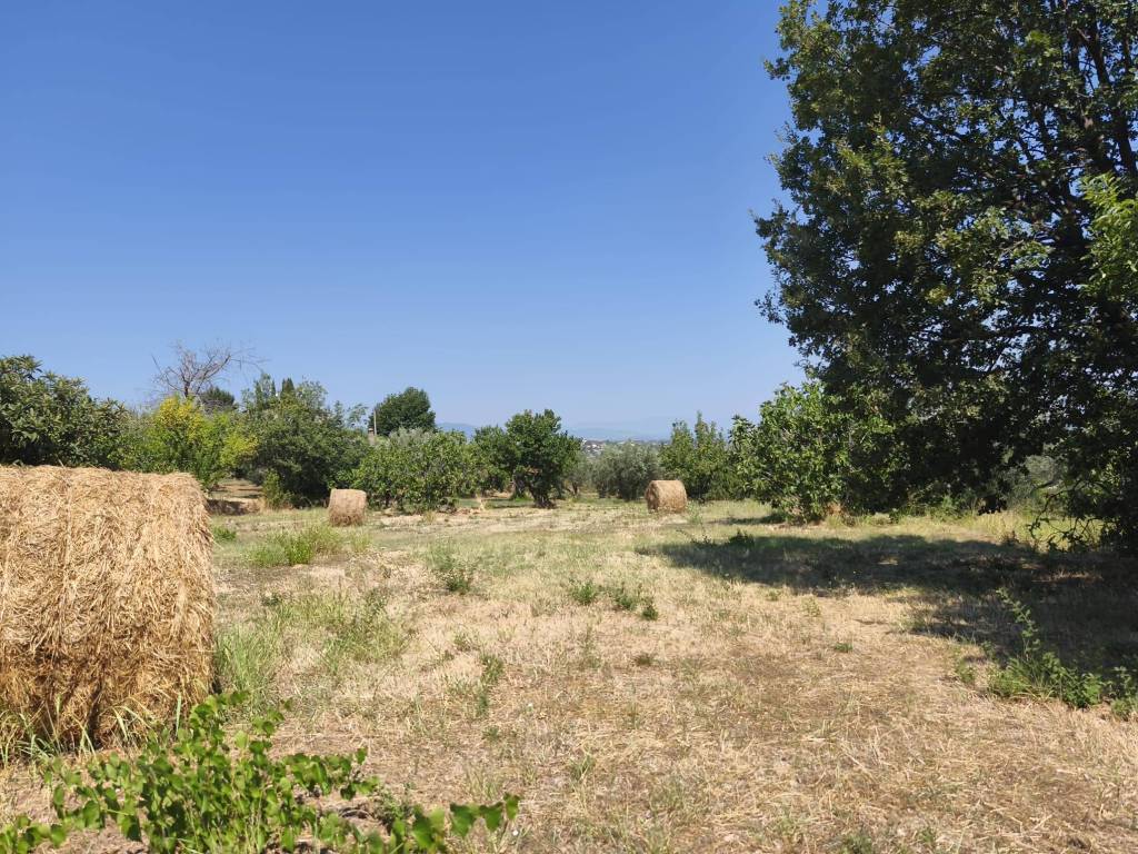 Terreno a Cosenza in Contrada Tenimento - Foto 4