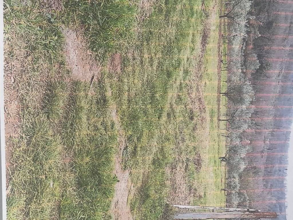 Terreno a Castel morrone in Via Costare - Foto 2