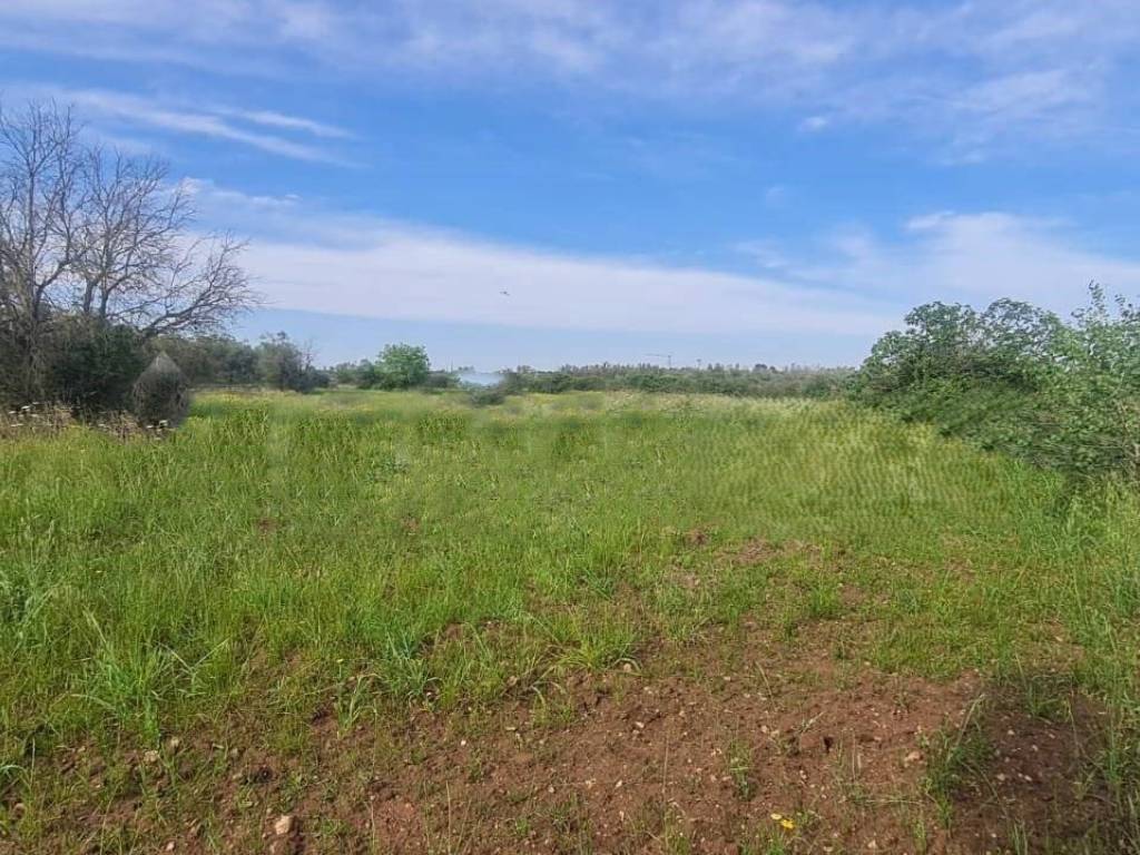 Terreno a Zollino in SP47 - Foto 4